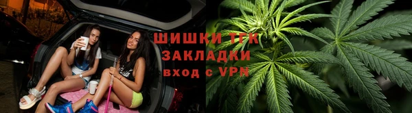 спайс Арсеньев