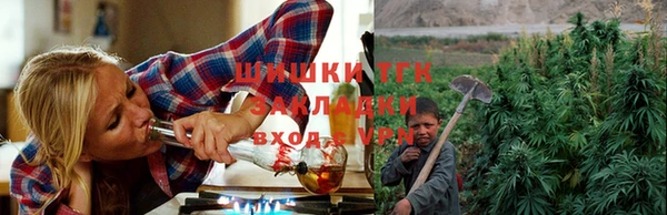 спайс Арсеньев